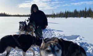 Voyage famille, dans les traces des mushers, Finlande