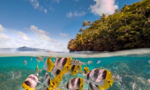 Voyage famille, Les Paradis Cachés, Polynésie