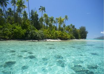 Polynésie (2)