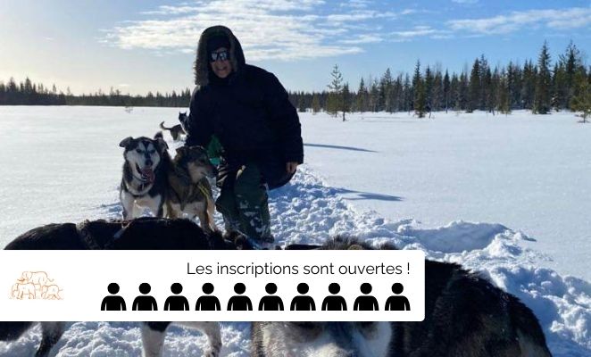 Voyage famille, dans les traces des mushers, Finlande