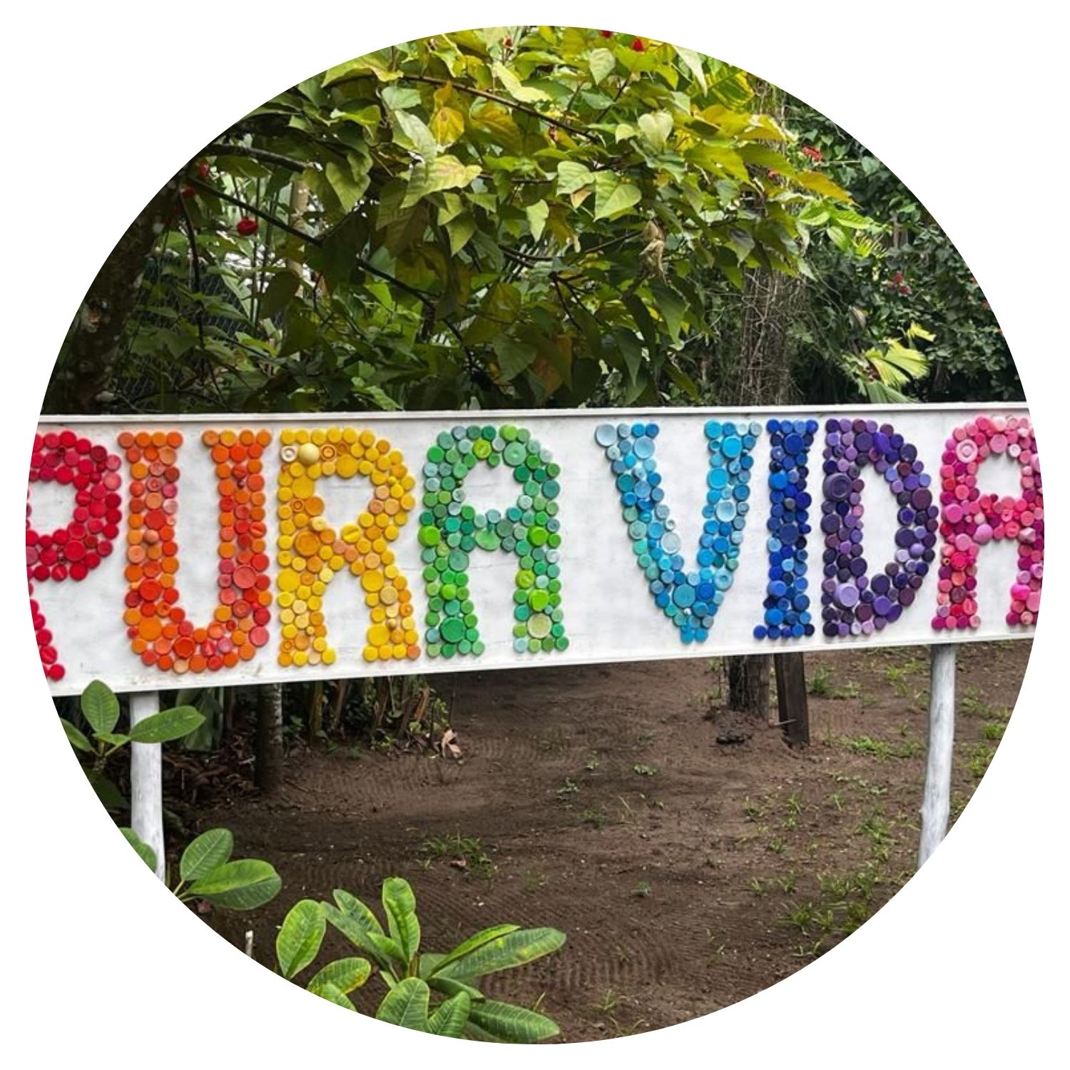 Une pancarte colorée en mosaïque portant l'inscription "PURA VIDA", symbole emblématique du Costa Rica, avec des couleurs vives et un design attrayant.
