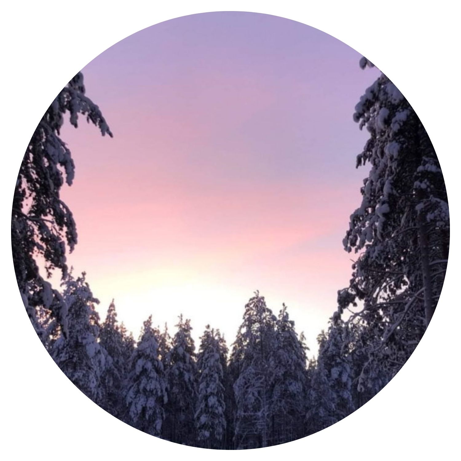 Une photo capturée lors d'un lever de soleil depuis le cœur d'une forêt couverte de neige en Finlande, avec une vue sur les pointes des sapins et un ciel aux teintes violet et orangé.