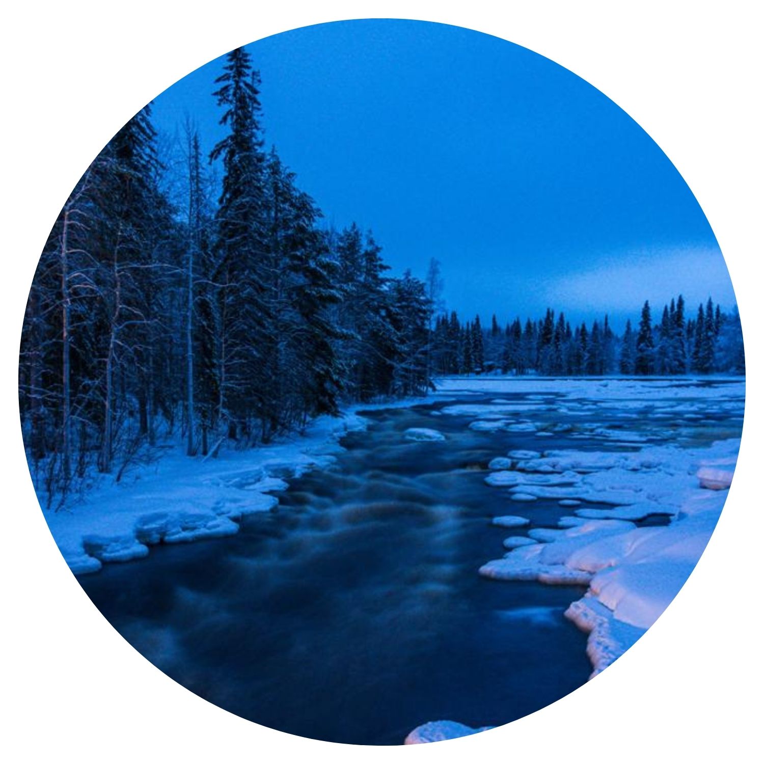 Une forêt de sapins recouverte de neige avec un lac gelé traversant la forêt, capturée dans la nuit apaisante de Finlande, offrant une vue sereine et hivernale.