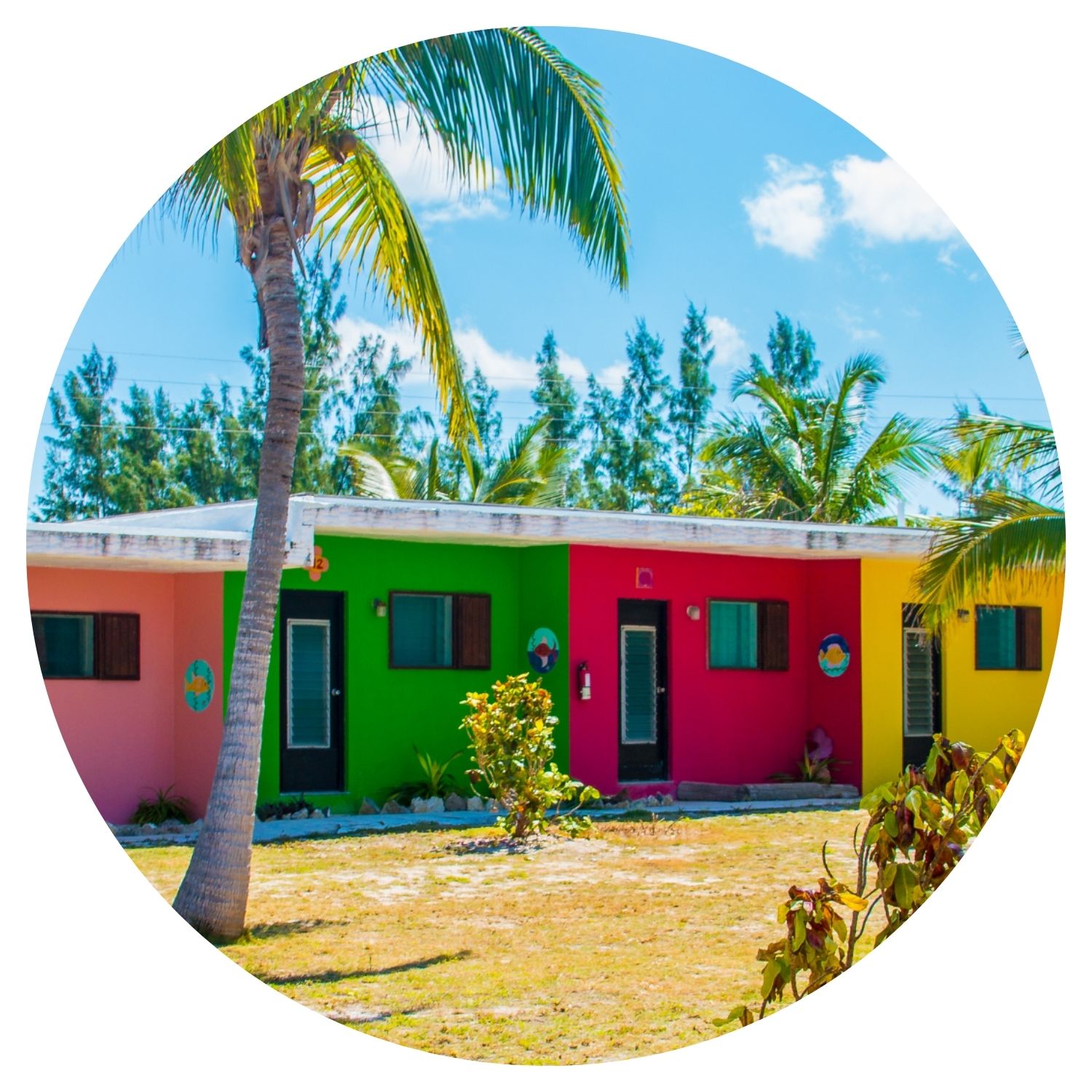 Vue pittoresque des maisons colorées alignées typiques de la Floride et des Bahamas, capturant l'essence vibrante de ces destinations ensoleillées.