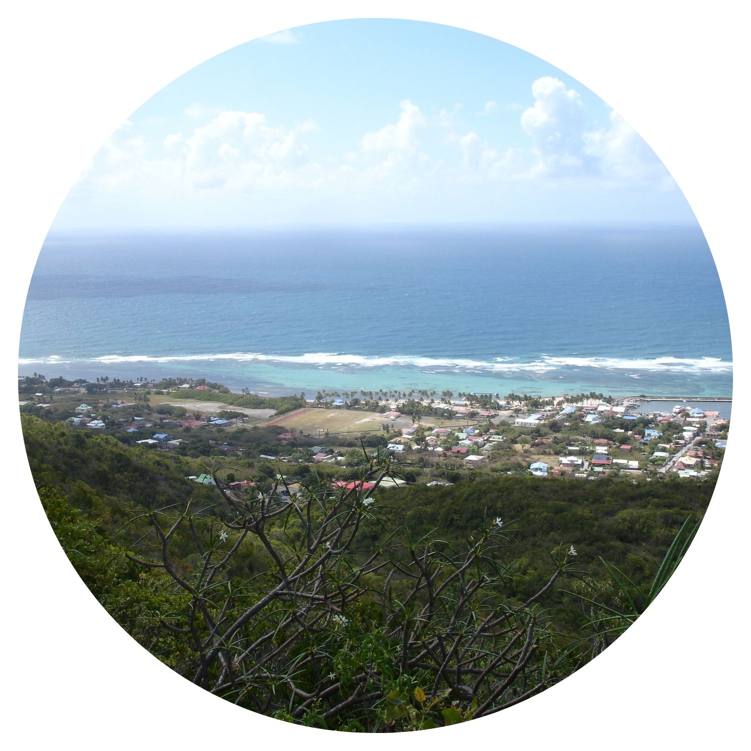 Vue panoramique depuis une montagne sur la belle plage de Guadeloupe, montrant la mer turquoise, les villages côtiers et le paysage verdoyant environnant.