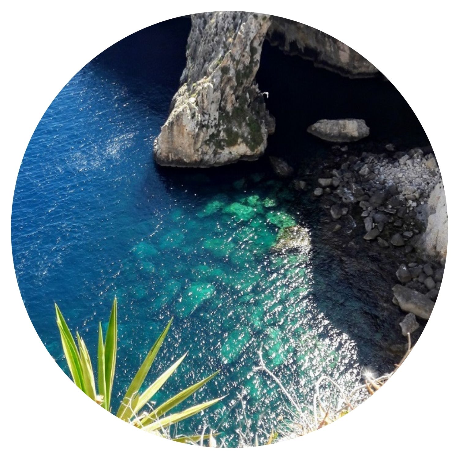 Un grand rocher émerge majestueusement au milieu de la mer, entouré d'eau turquoise et scintillante. La scène se déroule à Malte, offrant une vue impressionnante de la nature sauvage et marine de l'île.