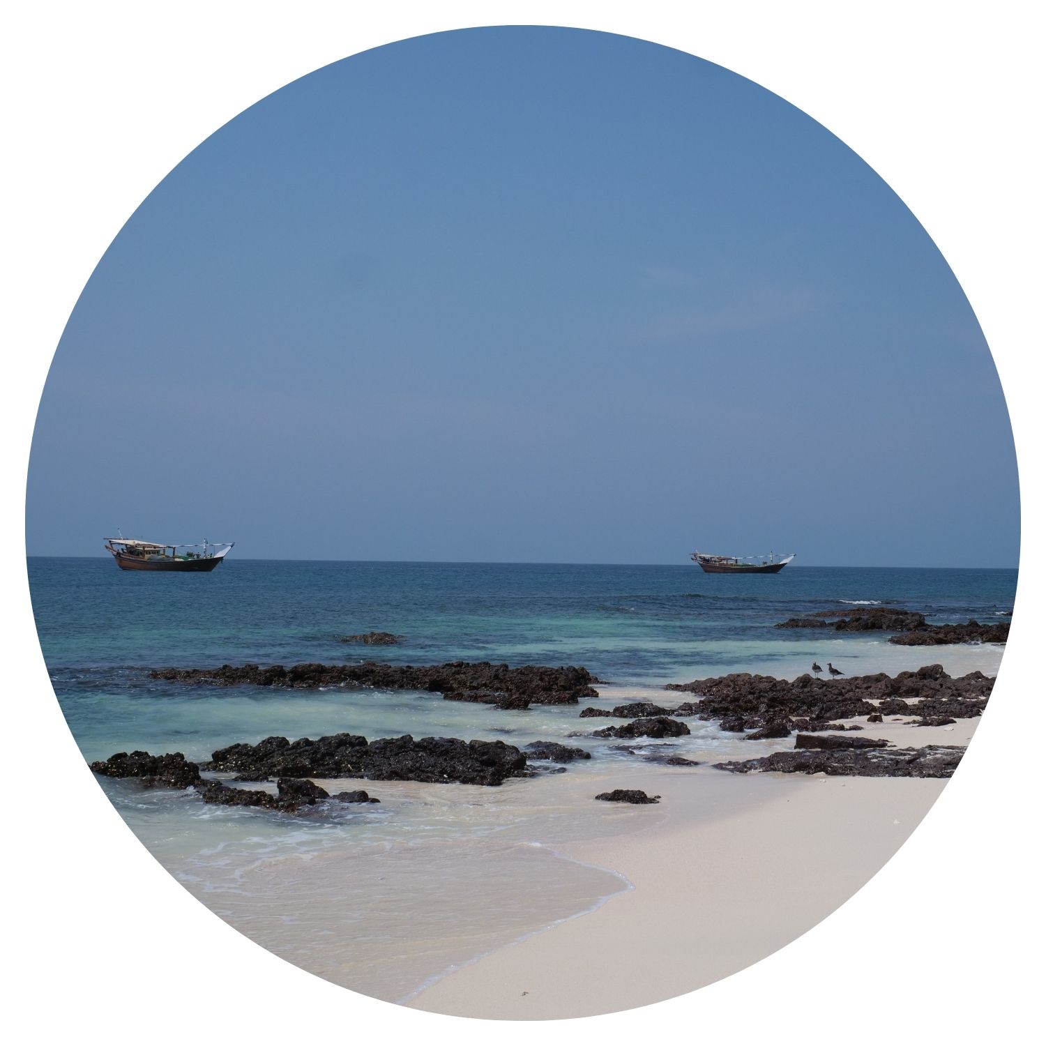 Deux bateaux se dirigent vers le bord de la mer, avec des petits rochers dispersés sur la plage au premier plan. La scène se déroule en Oman, offrant une vue pittoresque de la mer.