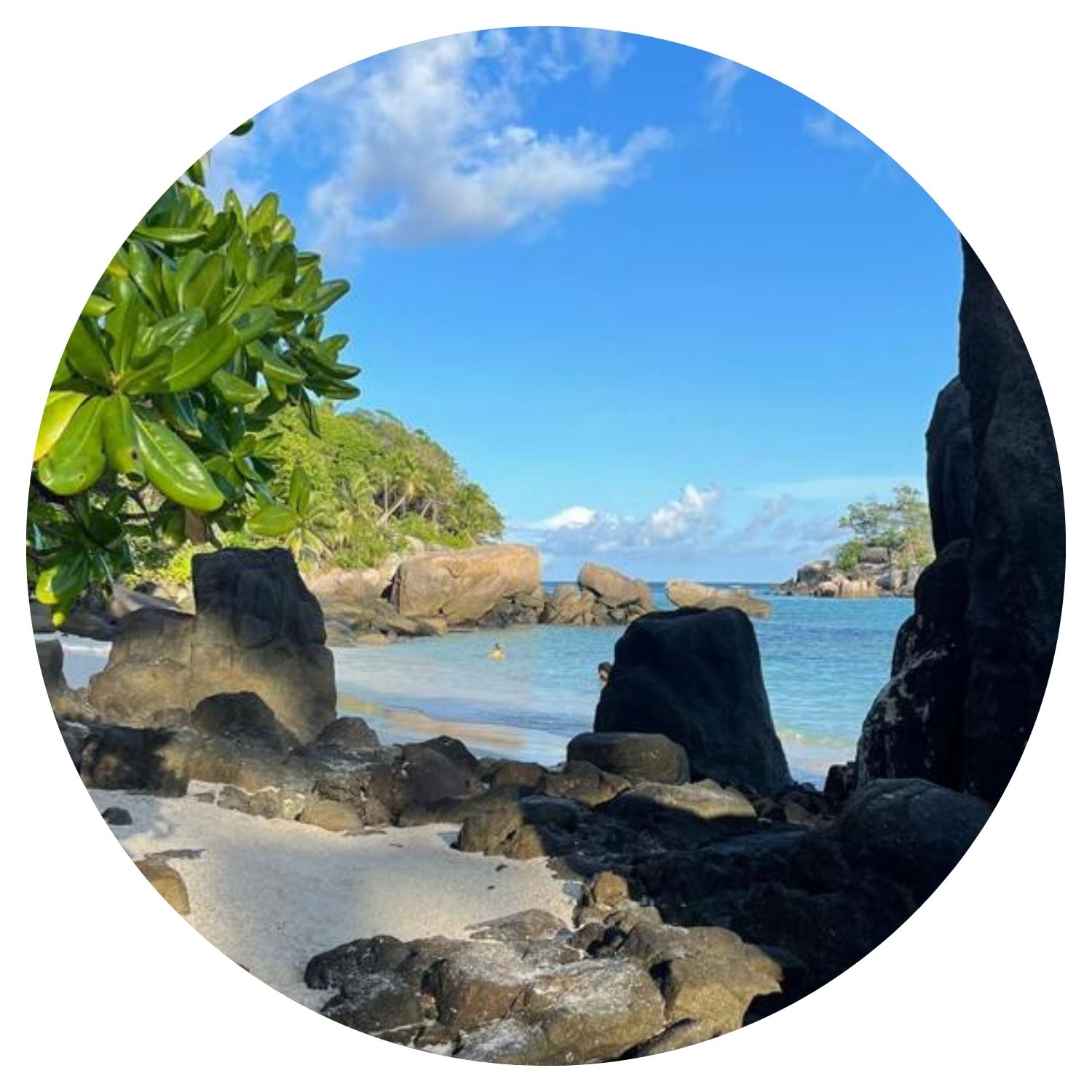 Voyage aux Seychelles en famille avec l'avis de Bastellica, excursion sur une plage pittoresque entourée de verdure et de rochers.