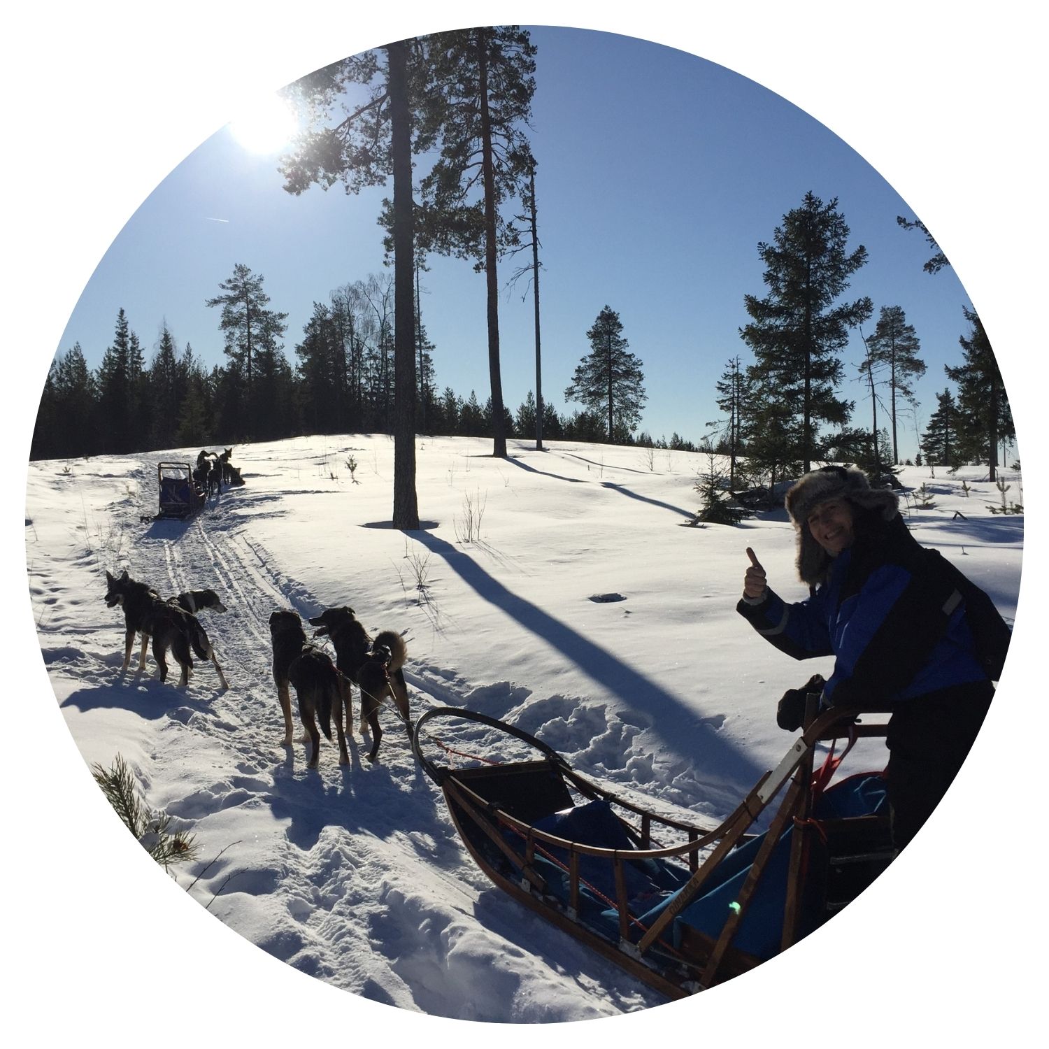 Voyage en Suède sur mesure avec l'avis de Corinne, aventure en traîneau à travers la forêt enneigée.