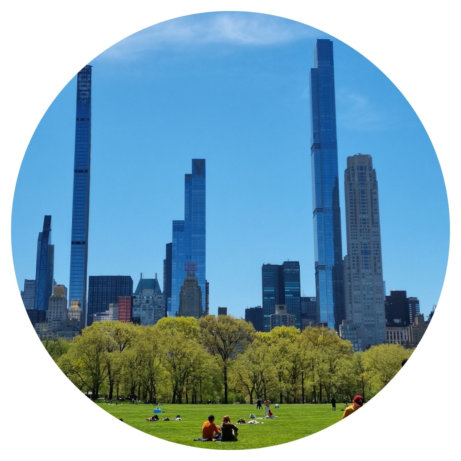 Vue sur les gratte-ciels de New York depuis Central Park, avec des personnes se relaxant sur la pelouse sous un ciel bleu clair.